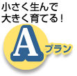 A 小さく生んで大きく育てる！